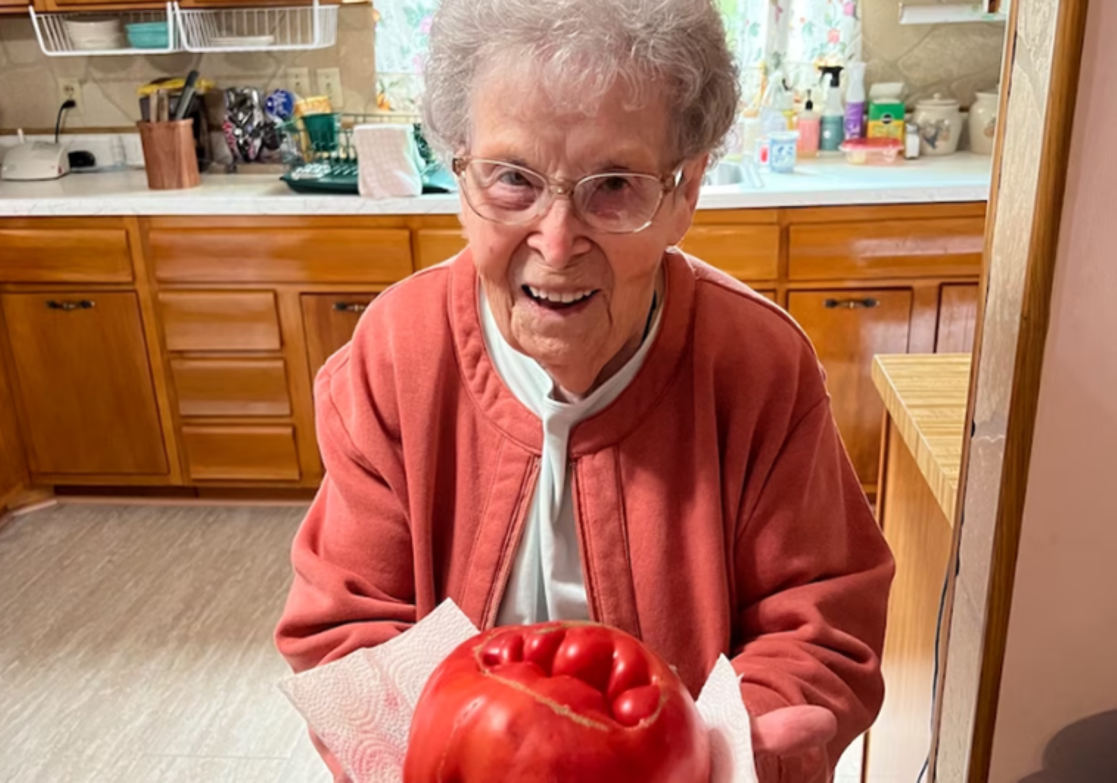 Cultiva sus propios tomates desde hace 58 años y son los más deliciosos que ha probado