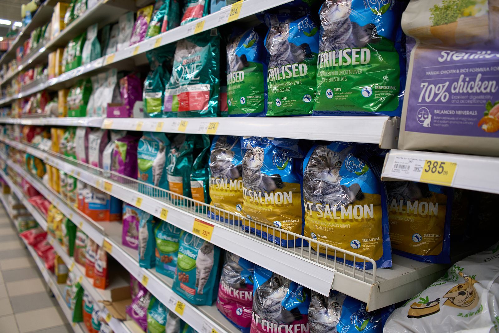 La comida para mascotas no escapa de la inflación: entre los productos que más suben de precio