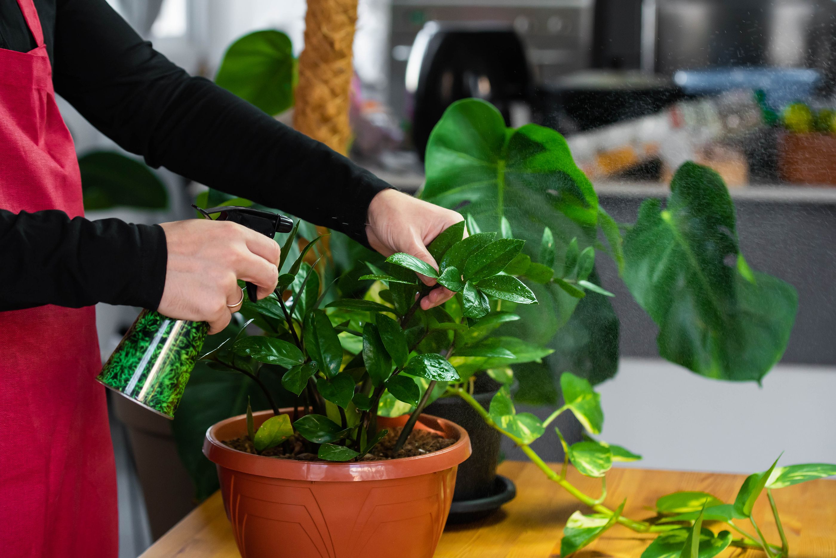 Corotos  Planta artificial pequeña con macetas