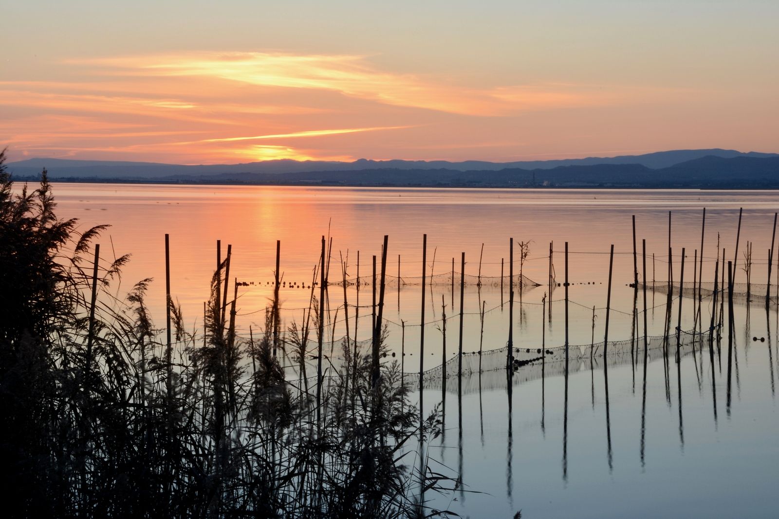 La Albufera es el escenario de la nueva serie 'El embarcadero' (Bigstock)