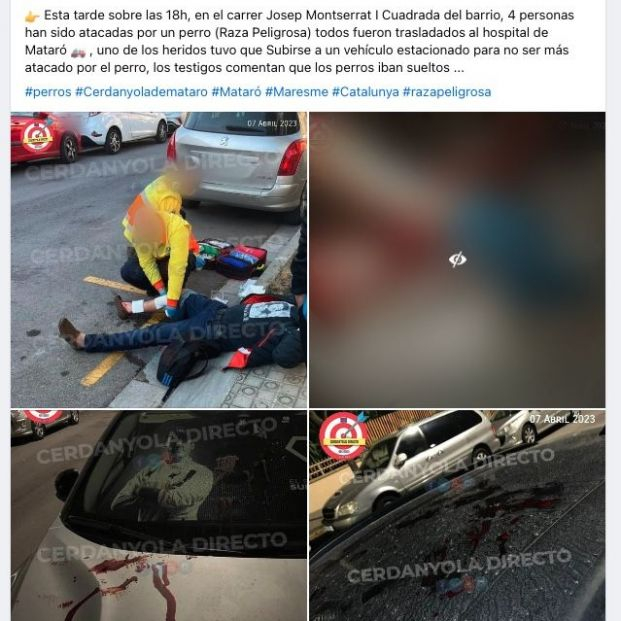 Cuatro heridos por el violento ataque de un perro en Mataró