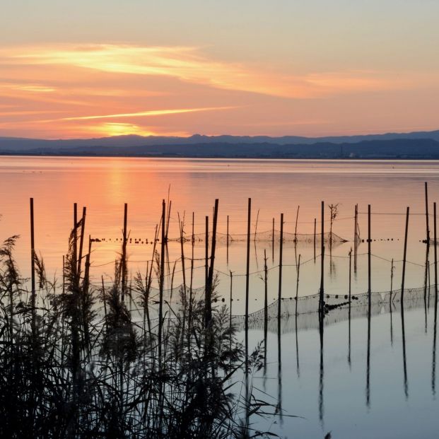 La Albufera es el escenario de la nueva serie 'El embarcadero' (bigstock)