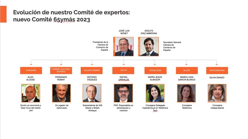 Nuevo Comité Expertos 65ymás