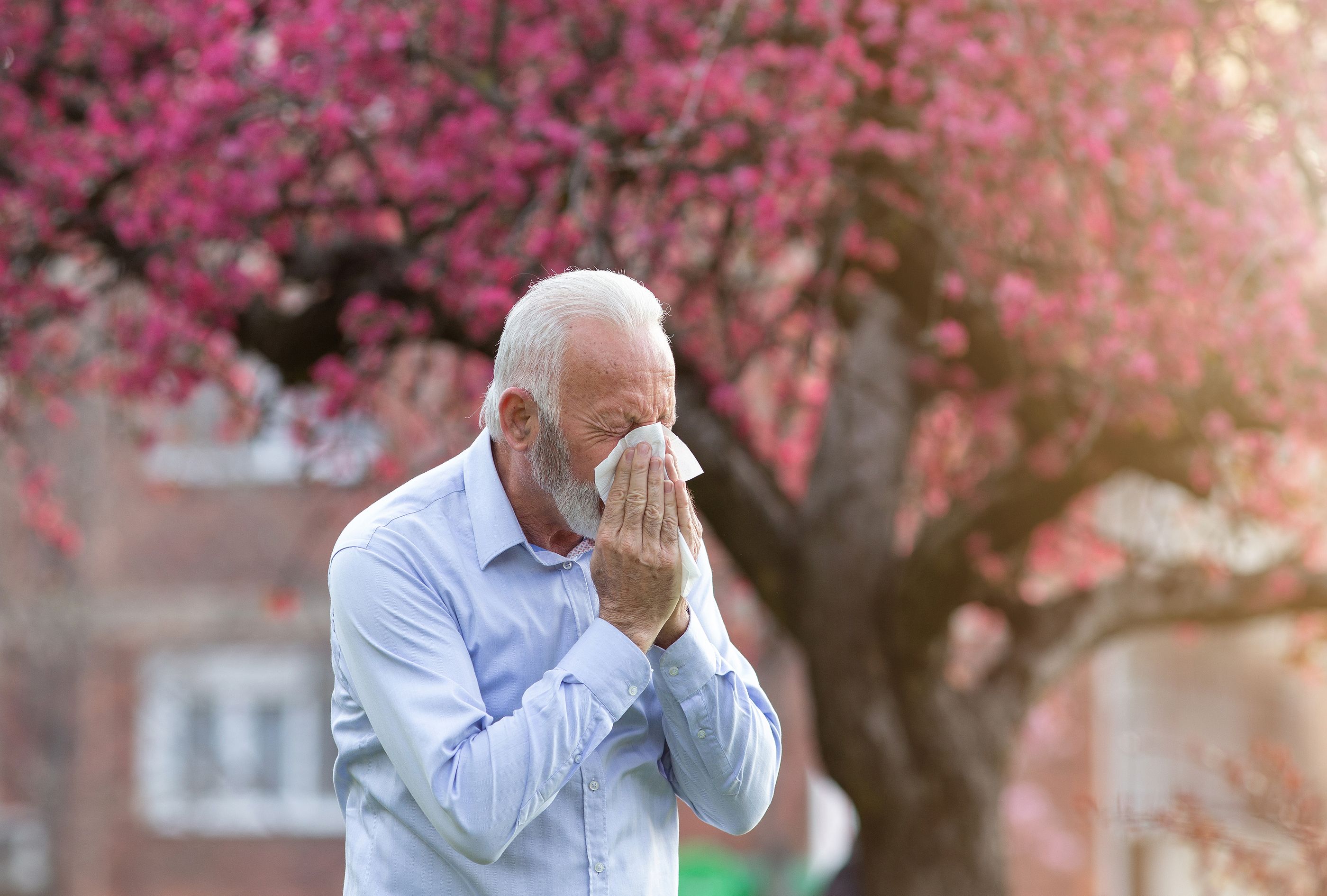 Consejos para combatir la alergia primaveral en las personas mayores. Foto: Bigstock