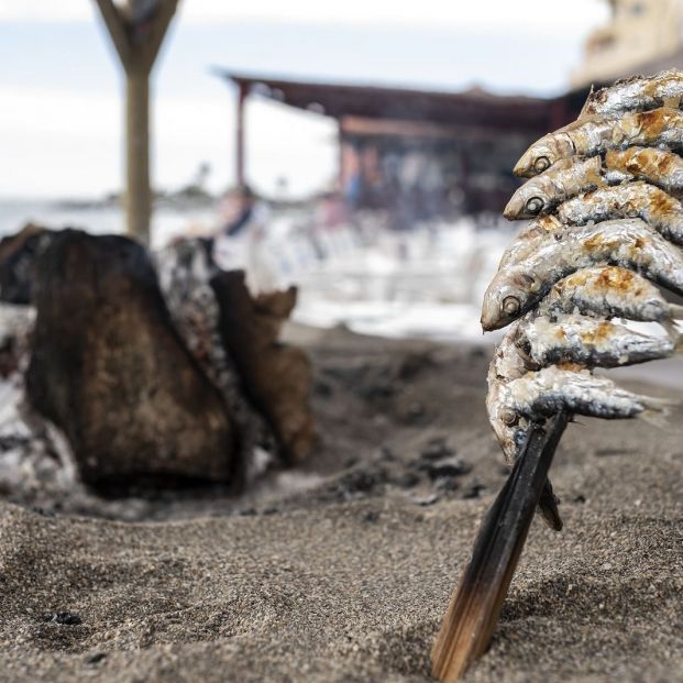 Sardinas, un manjar de lo más saludable para este verano