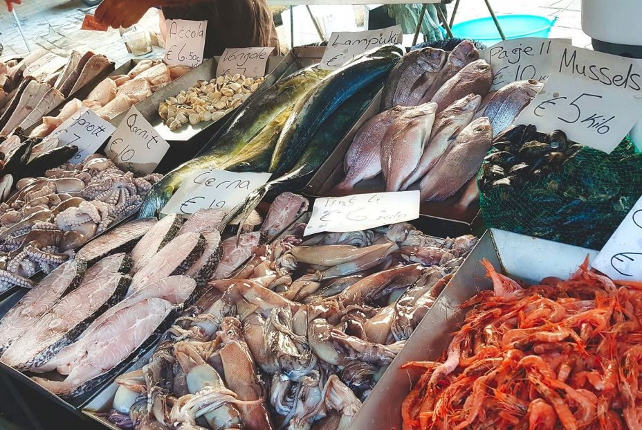 bigstock Varied Fresh Fish And Seafood  282450010