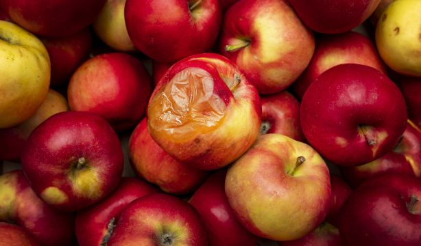 Por qué una manzana podrida puede estropear el resto de fruta a su alrededor