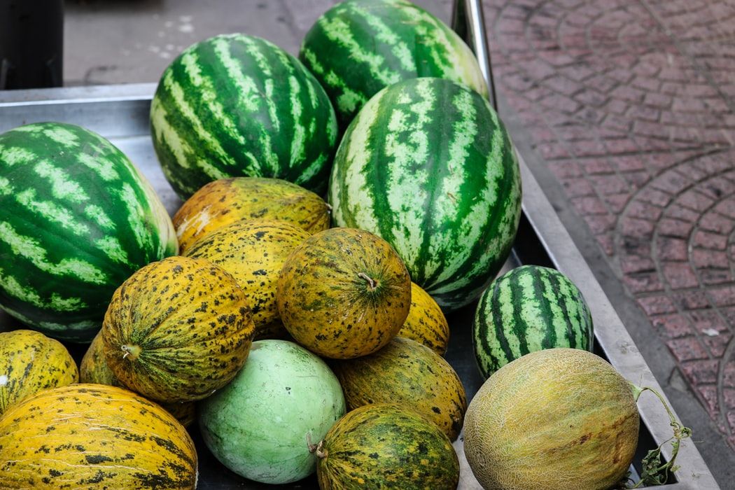 Sandía y melón