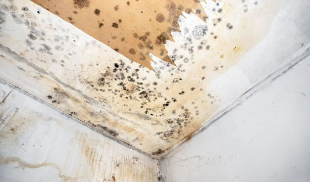 Todo lo que debe saber sobre las humedades en las viviendas: soluciones y quién se responsabiliza