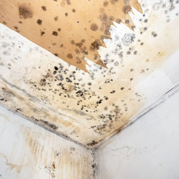 ¿Quién debe pagar las reparaciones en las comunidades de vecinos? ¿Quién debe pagar las reparaciones en las comunidades de vecinos?