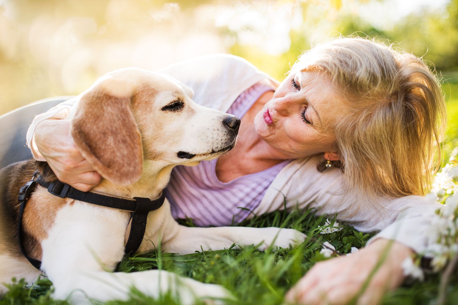 ¿Dónde puedo entrar con mi perro por ley?