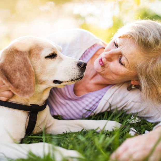 ¿Dónde puedo entrar con mi perro por ley?