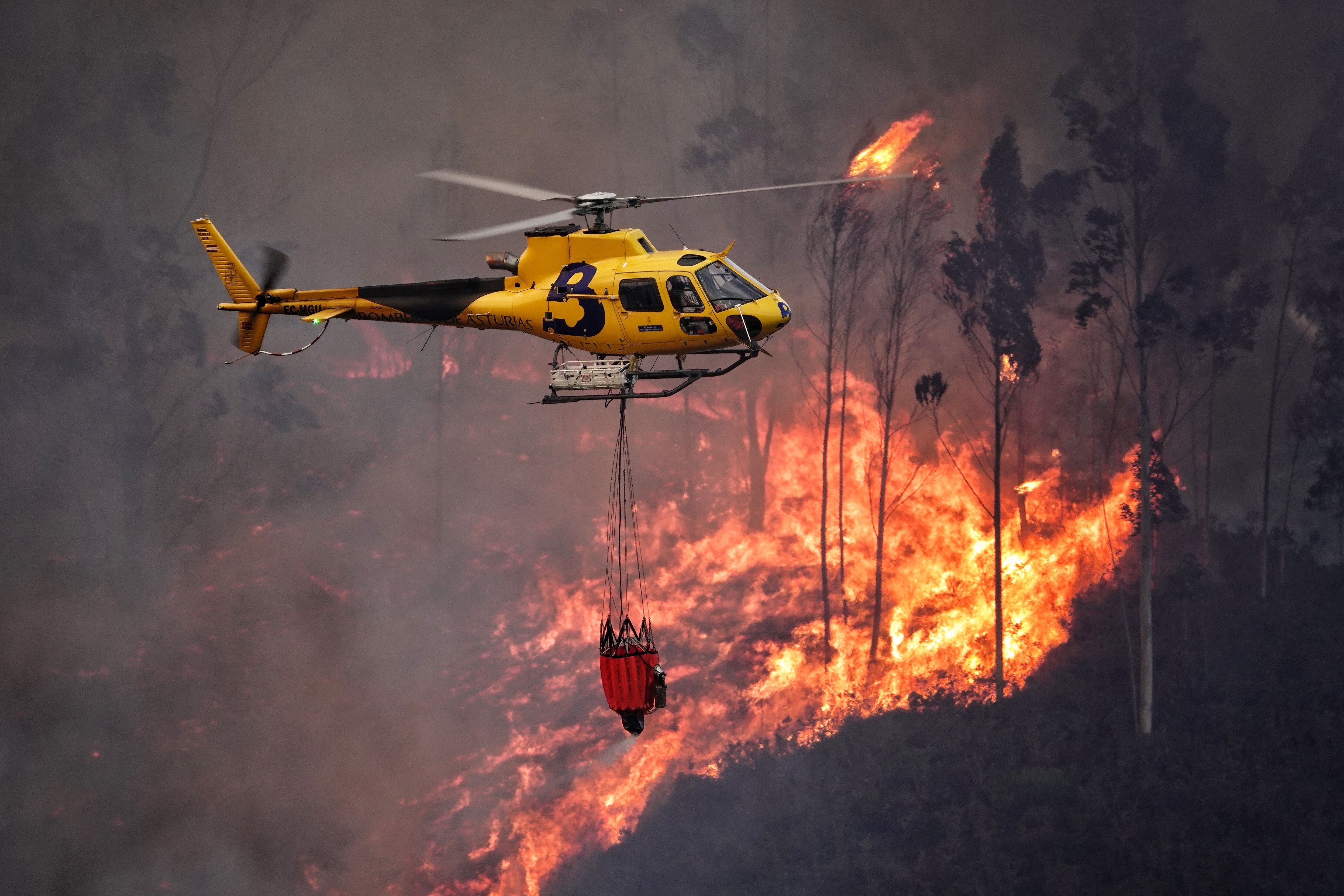 ¿Qué hacemos con los incendios?