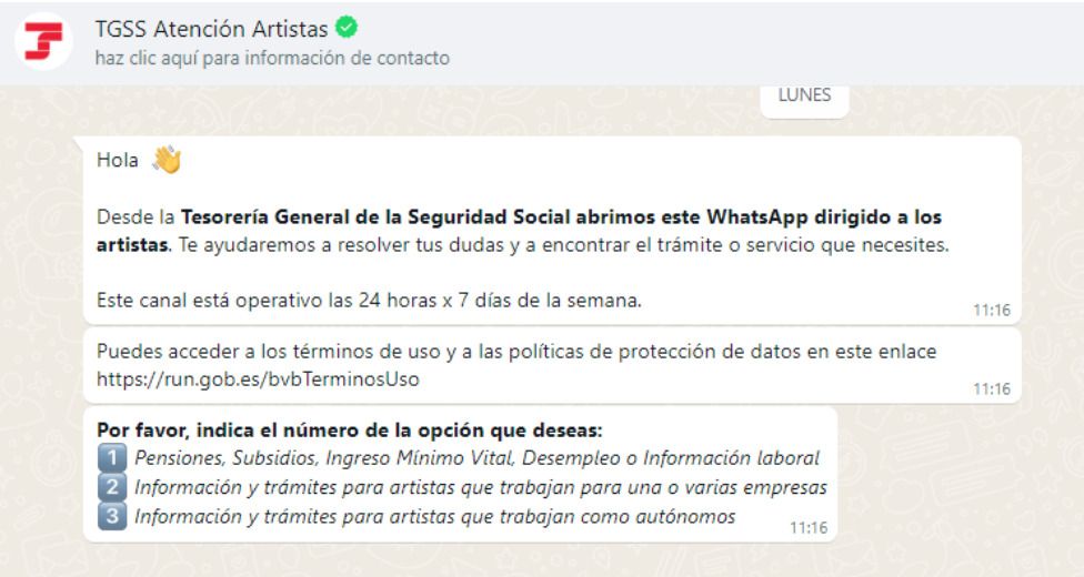 seguridad social artistas