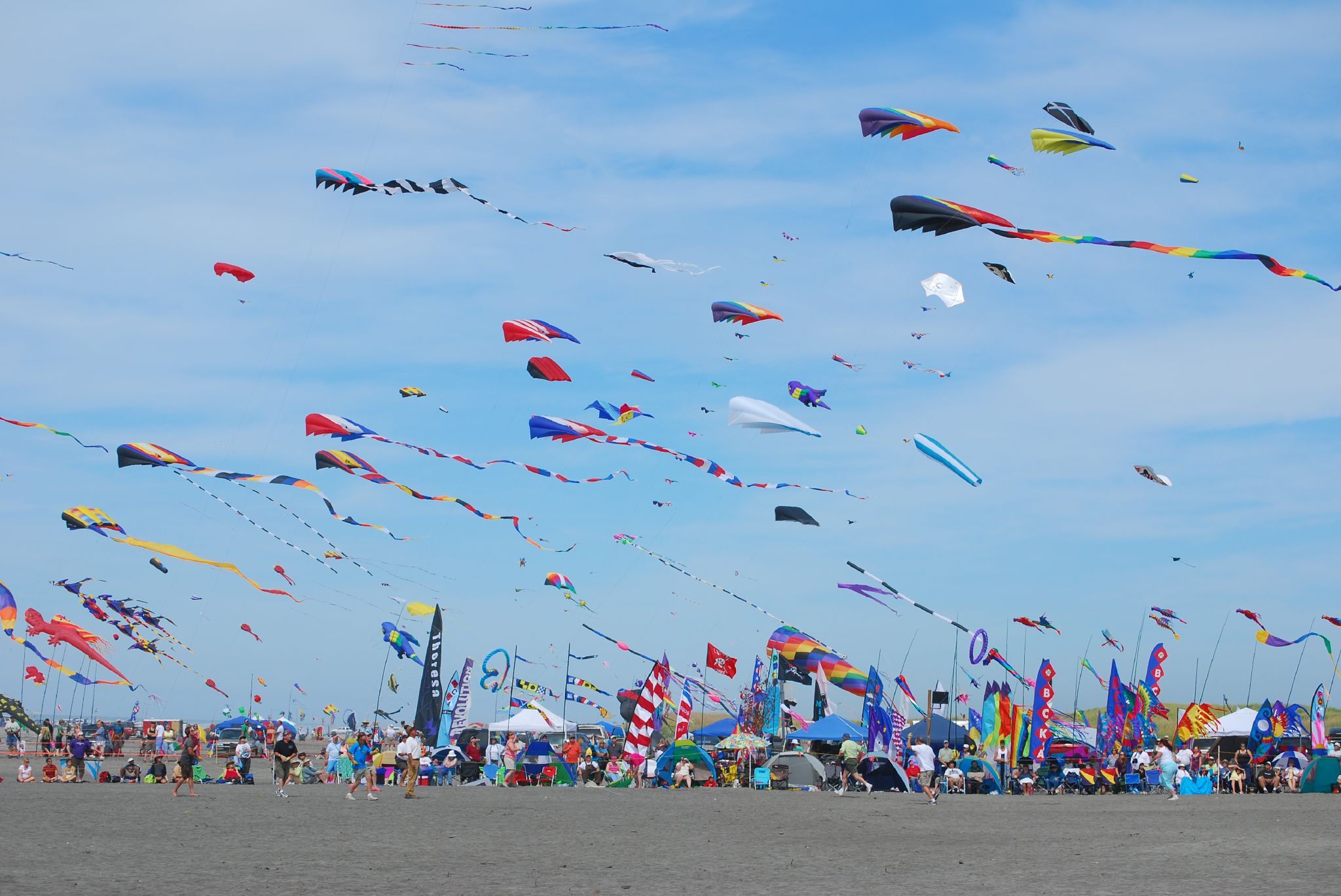 International Kite Fest 2023: el cielo de Málaga se llena este fin de semana de cometas
