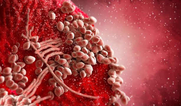La gripe, unida a una neumonía bacteriana, incrementa por tres el riesgo de muerte