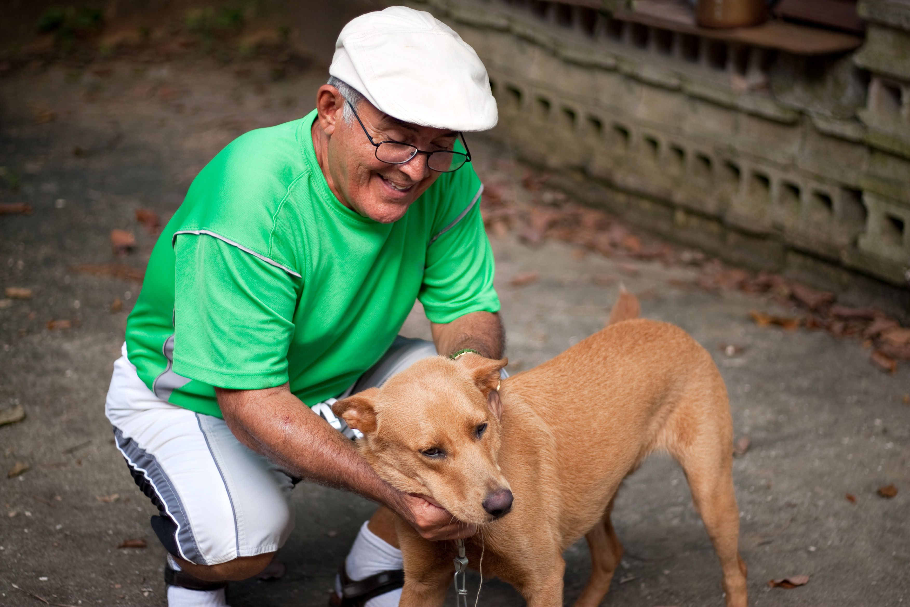 El 75% de las personas mayores que conviven con una mascota afirman que reduce su nivel de estrés