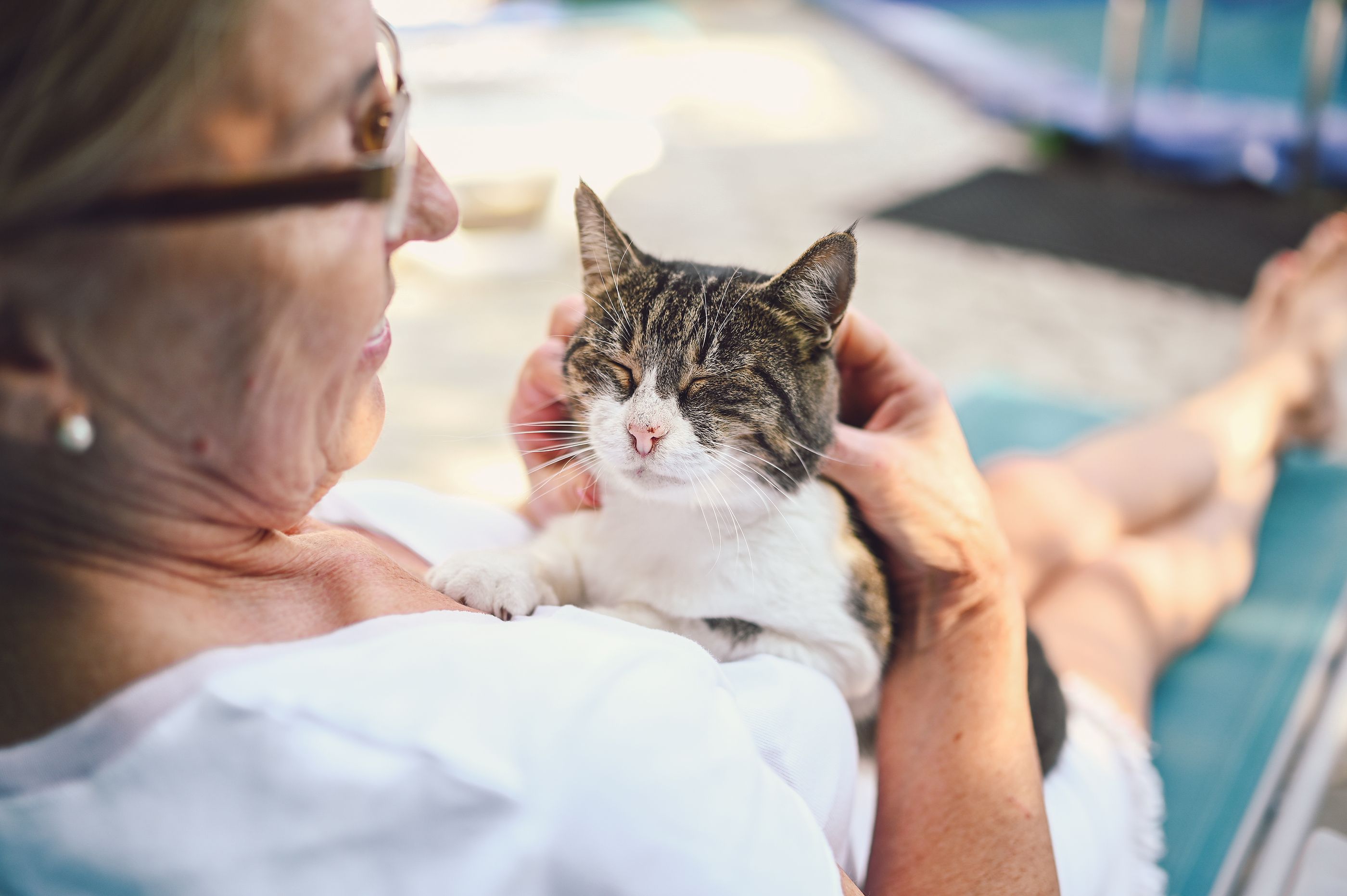 El 75% de las personas mayores que conviven con una mascota afirman que reduce su nivel de estrés