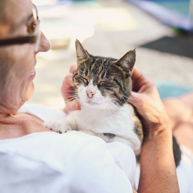 El 75% de las personas mayores que conviven con una mascota afirman que reduce su nivel de estrés