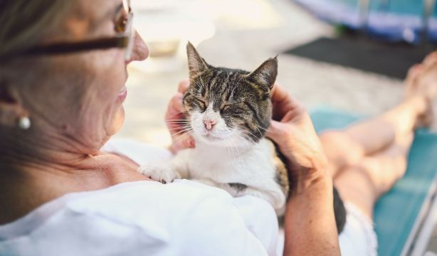 El 75% de las personas mayores que conviven con una mascota afirman que reduce su nivel de estrés