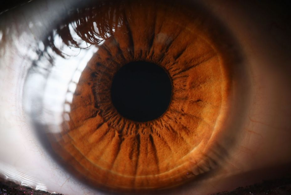 Un fármaco que se activa con luz podría eliminar el ojo seco sin gotas ni cirugía Un fármaco que se activa con luz podría eliminar el ojo seco sin gotas ni cirugía