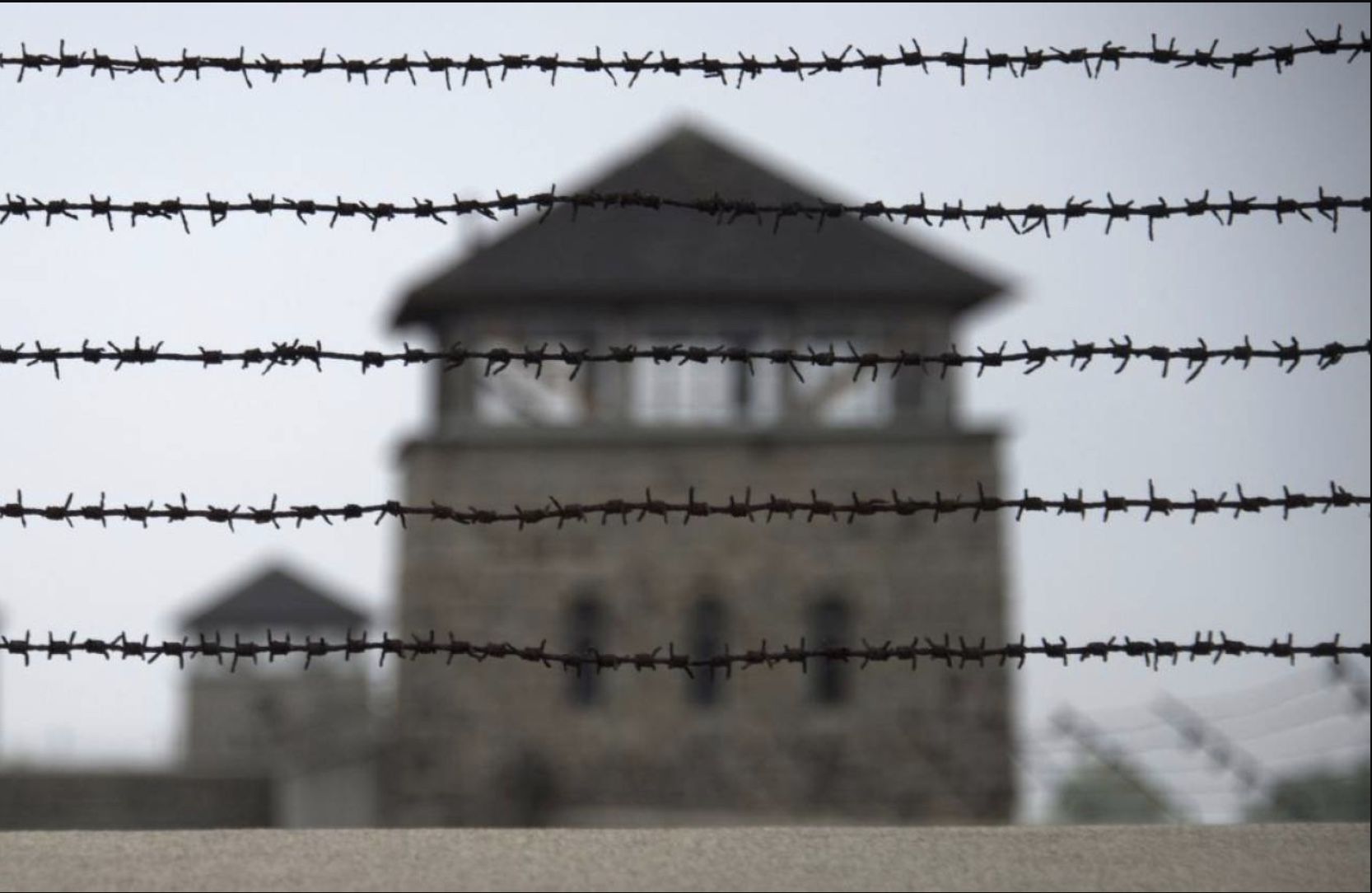Consulta el listado completo de víctimas del españolas en Mauthausen y Gusen publicado por el BOE