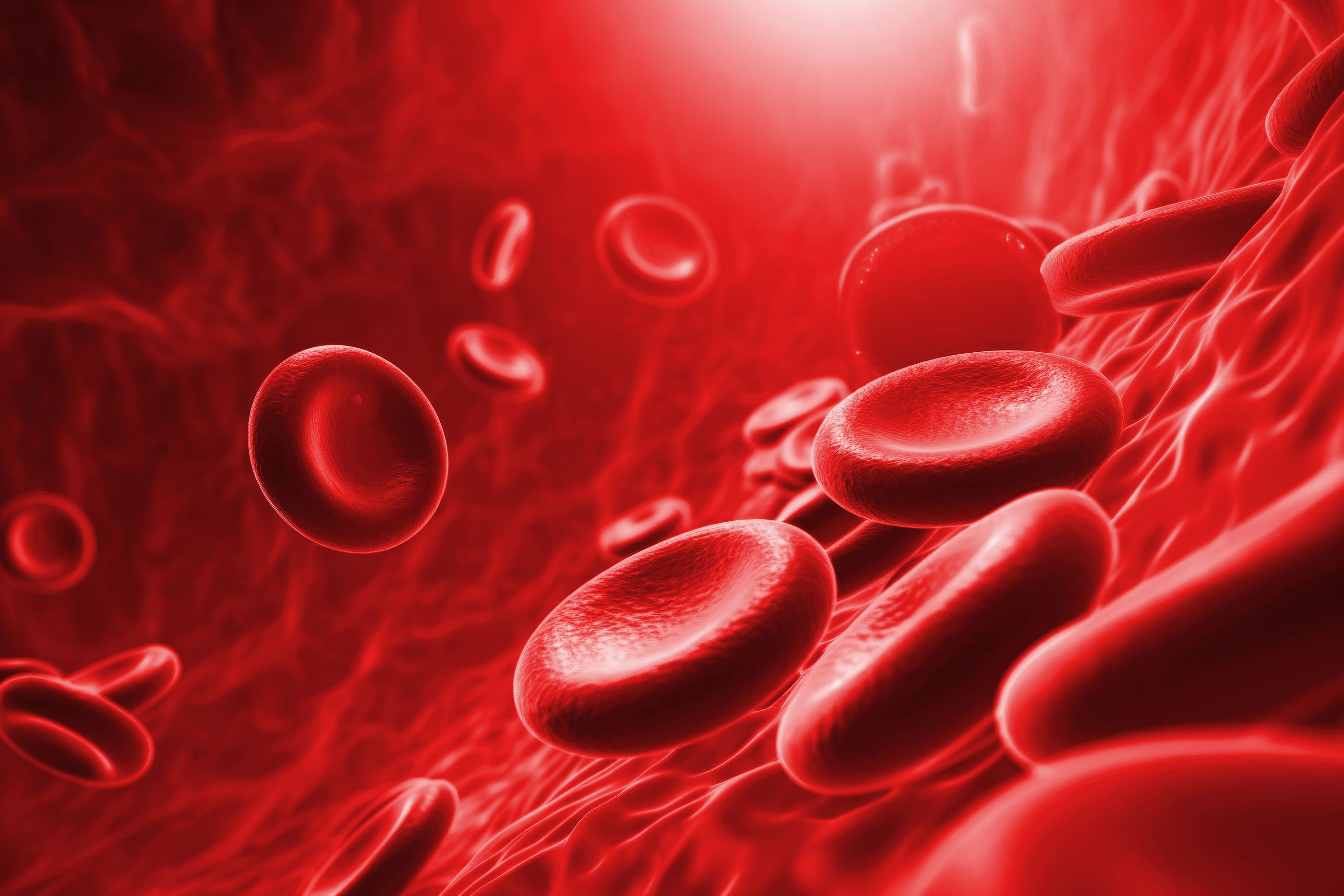 Identifican biomarcadores en la sangre para predecir precozmente el deterioro cognitivo en mayores