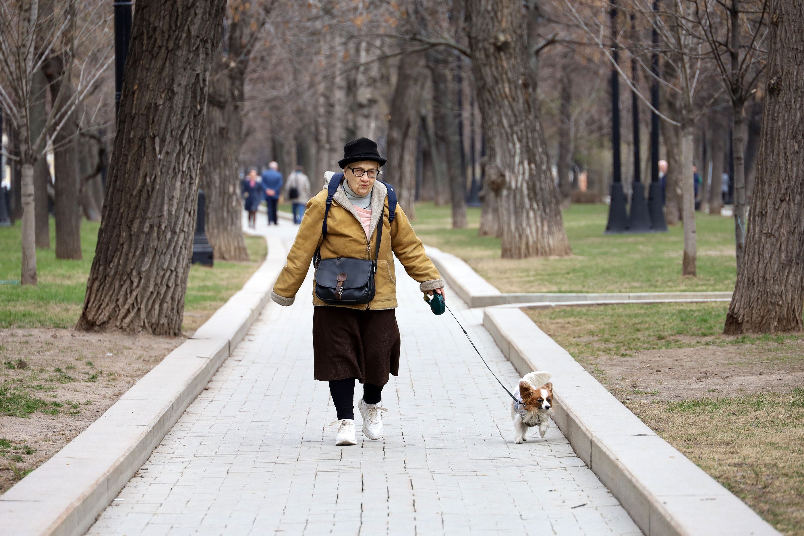 Advierten de la relación entre pasear al perro con correa y sufrir lesiones