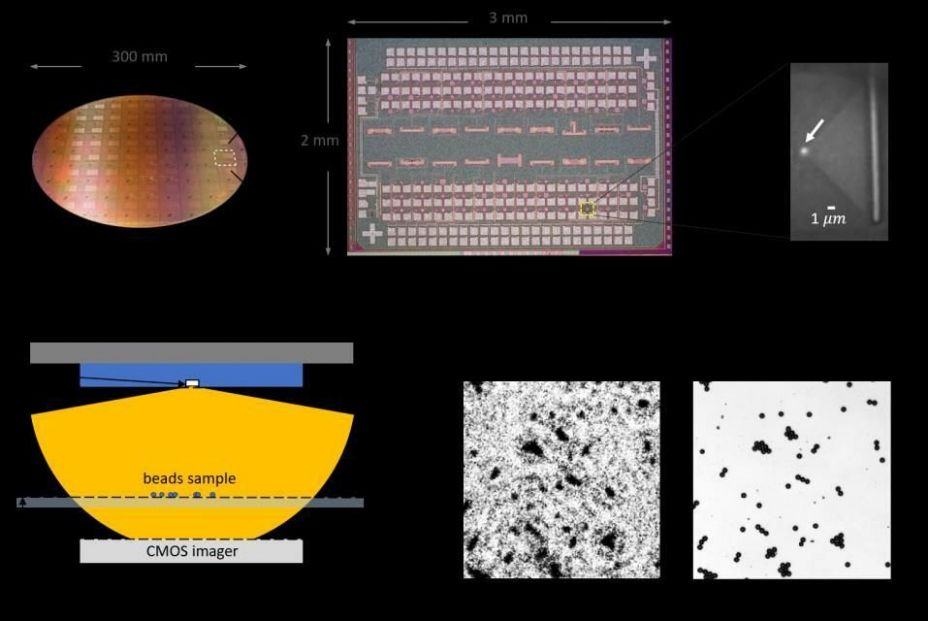 LED del microscopio