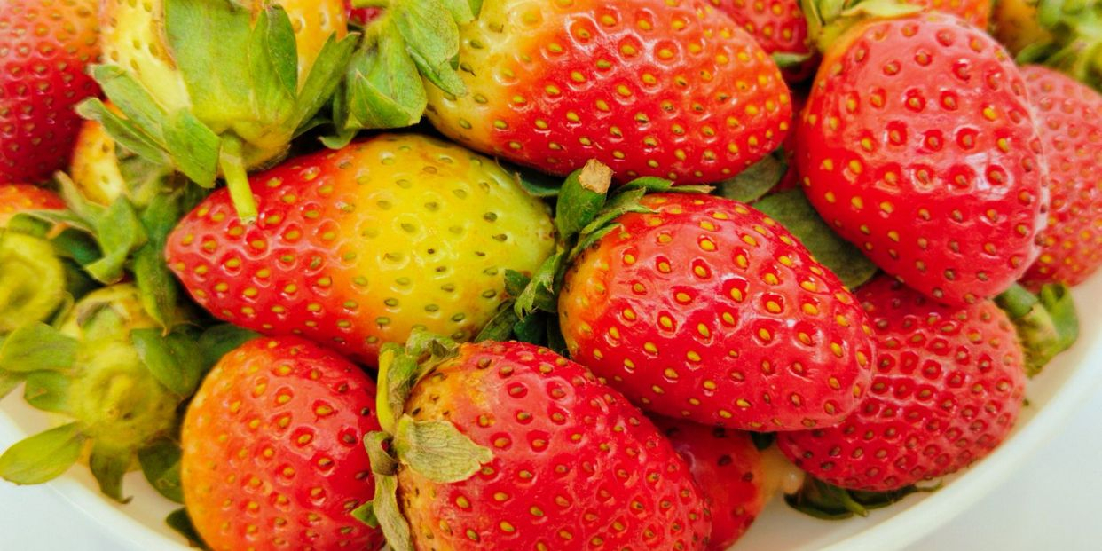 bigstock Fresh Strawberry Fruit Red Rip 469674561