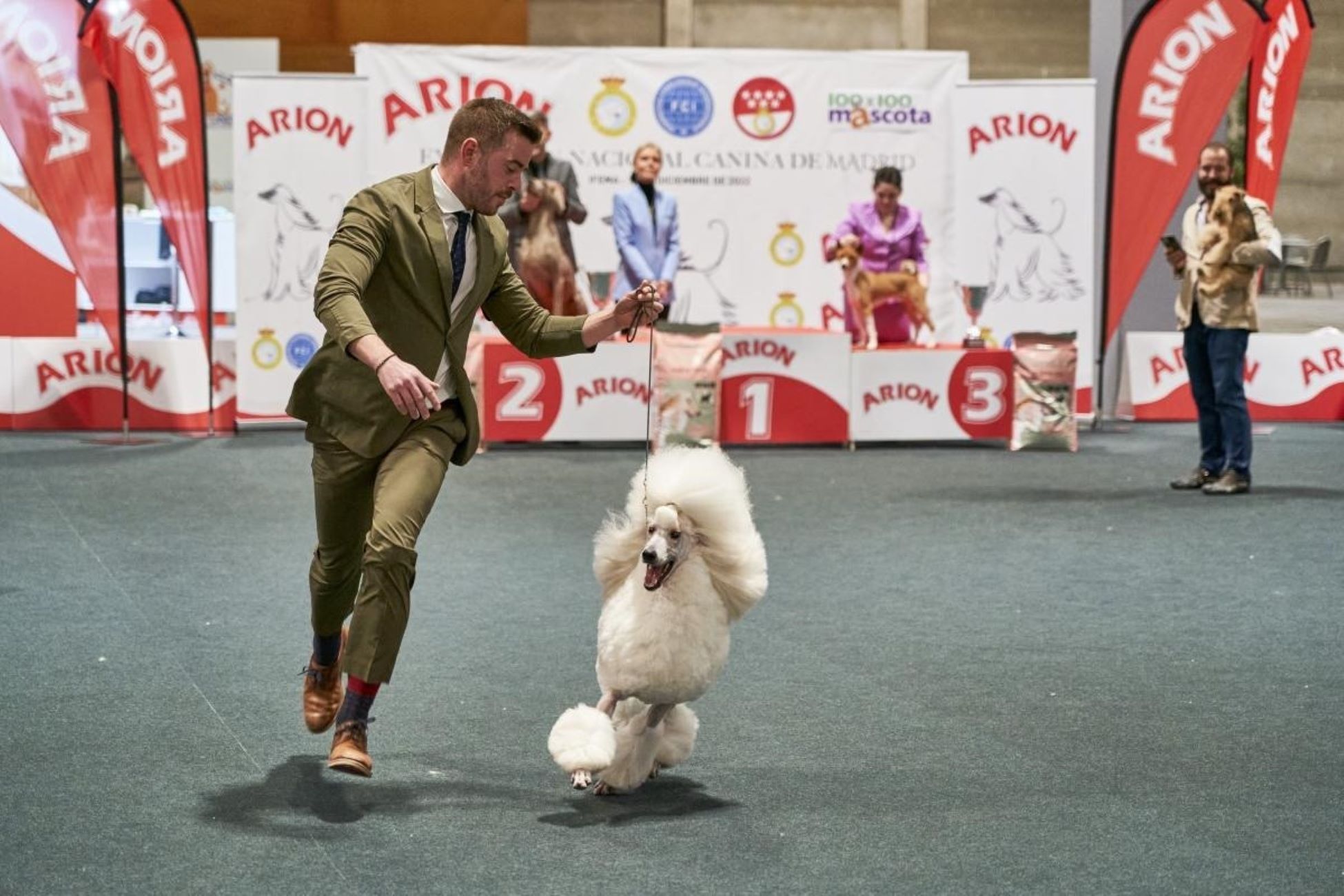 Los perros vuelven a tomar Madrid en una nueva edición de 'Mad Dog Show'