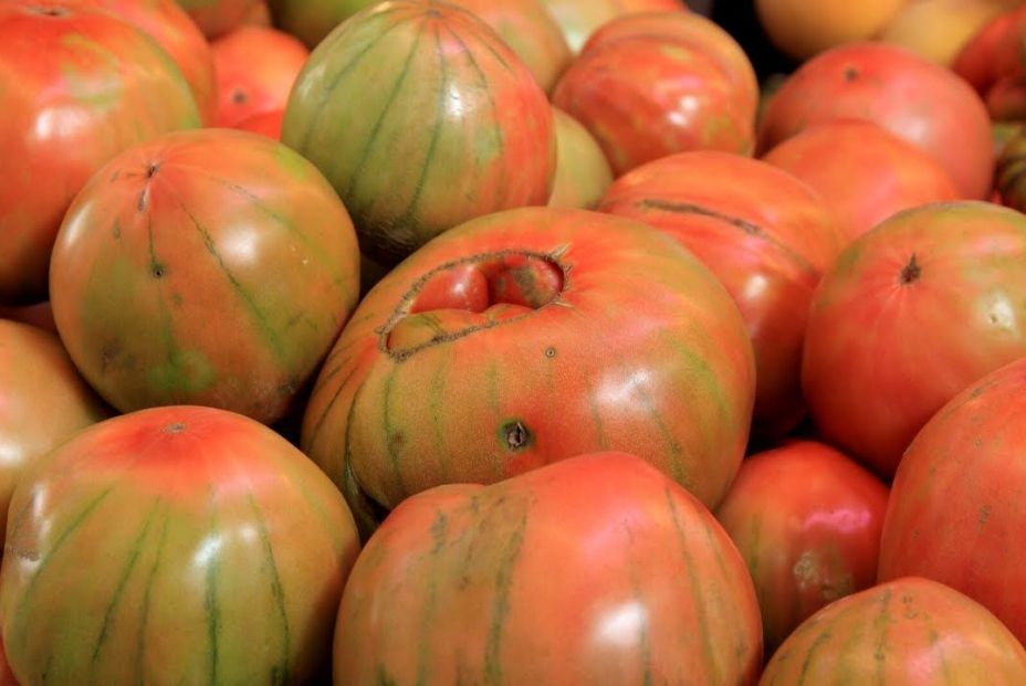 Tomate del Perelló. Foto Comunidad valenciana