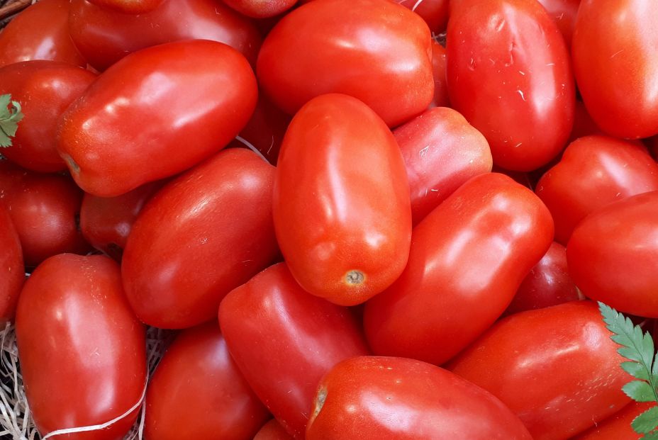 Tomates pera foto wikipedia