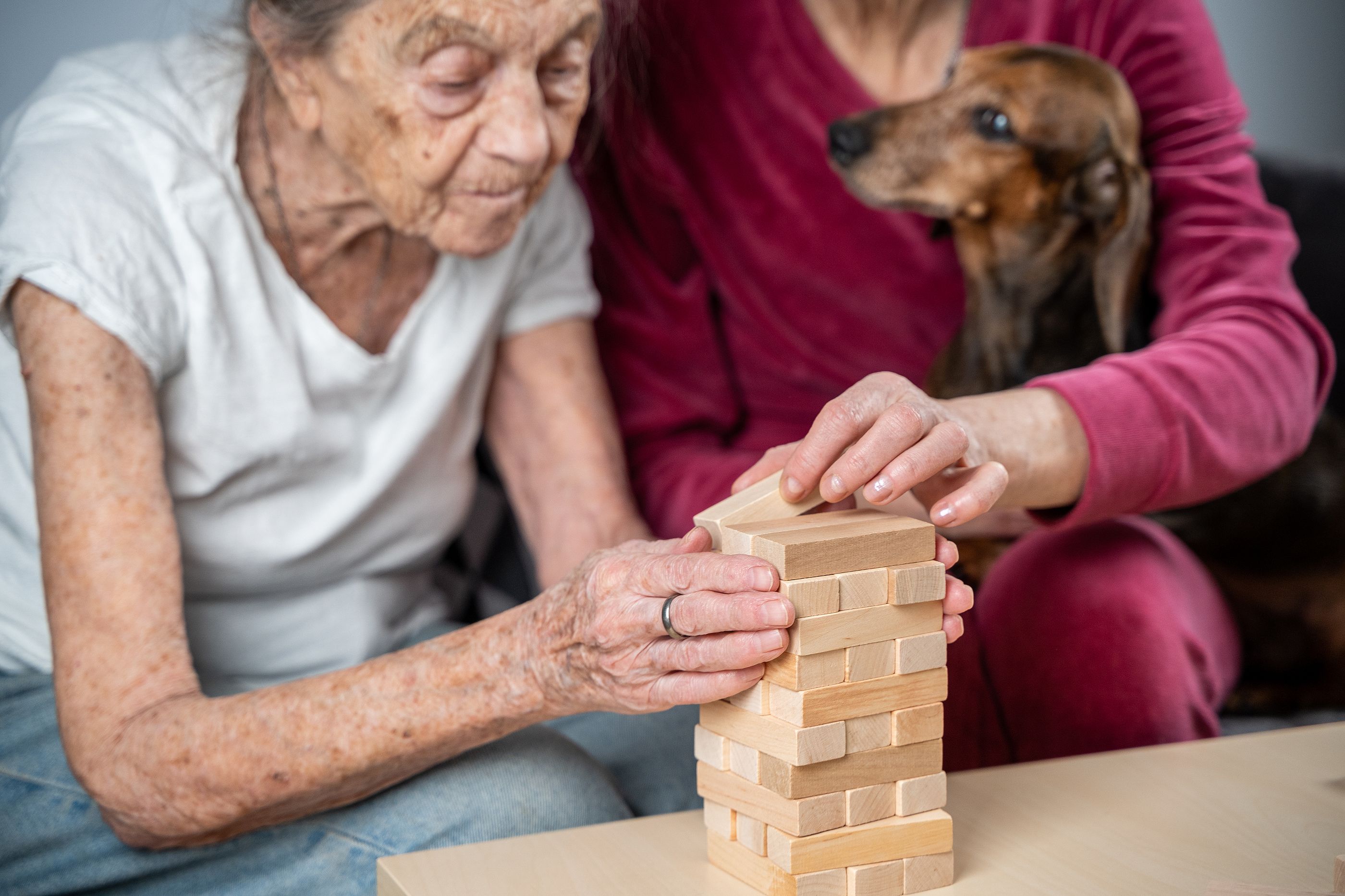 La similitud que los perros con alzhéimer comparten con los humanos