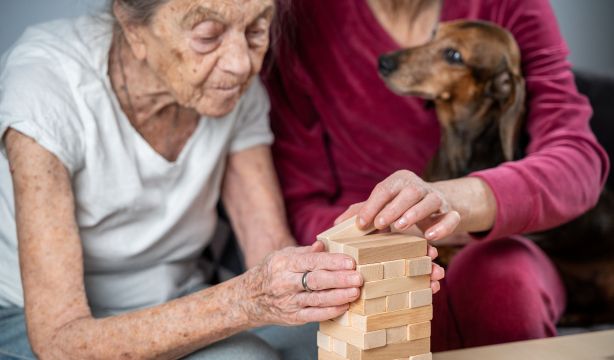 La similitud que los perros con alzhéimer comparten con los humanos