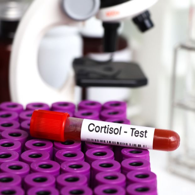 El impacto del cortisol en nuestra salud: Todo lo que necesitas saber