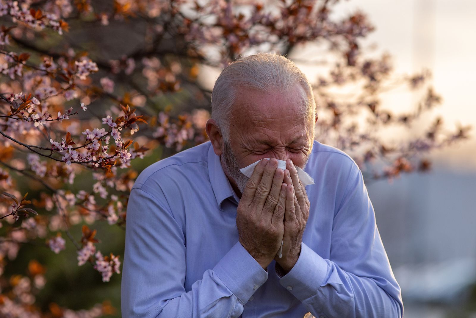 ¿Por qué están aumentando las alergias esta primavera?