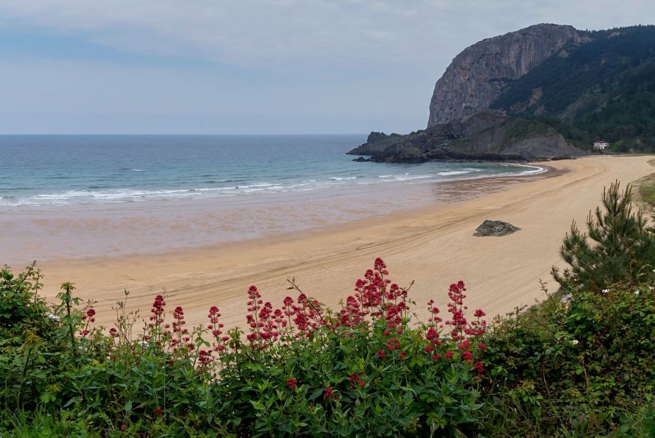 Playa de Laga, Ibarranguelua (País Vasco)