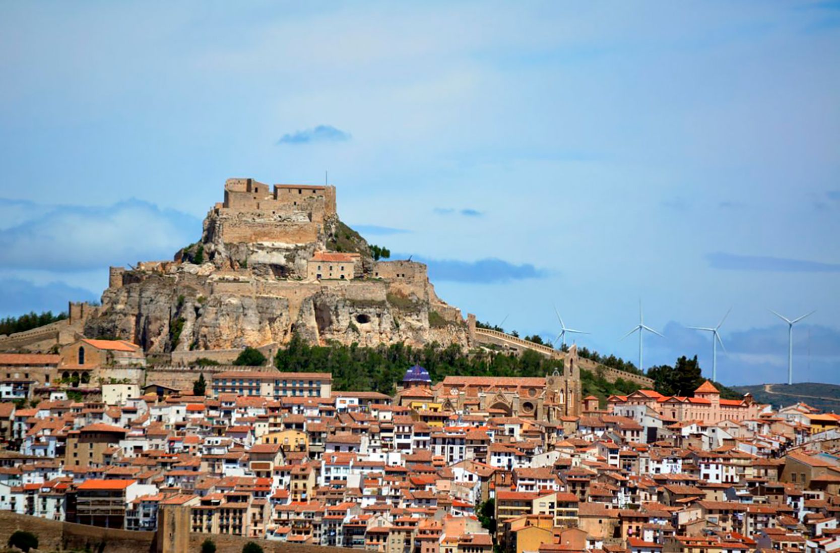 Morella