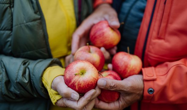 Compuestos de la manzana regulan el azúcar y potencian la saciedad Foto: Bigstock