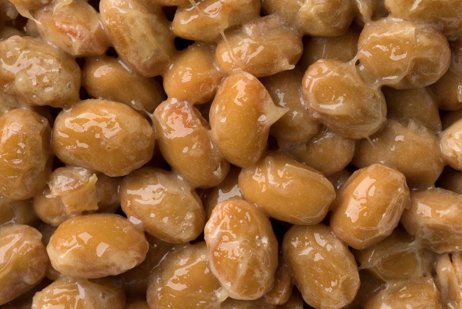 El natto japonés aumenta la esperanza de vida y reduce el estrés en gusanos