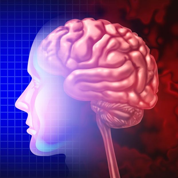 Un estudio utiliza IA para validar un nuevo biomarcador del envejecimiento del cerebro