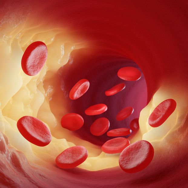 Un nuevo tratamiento epigenético podría reducir hasta la mitad el colesterol malo 