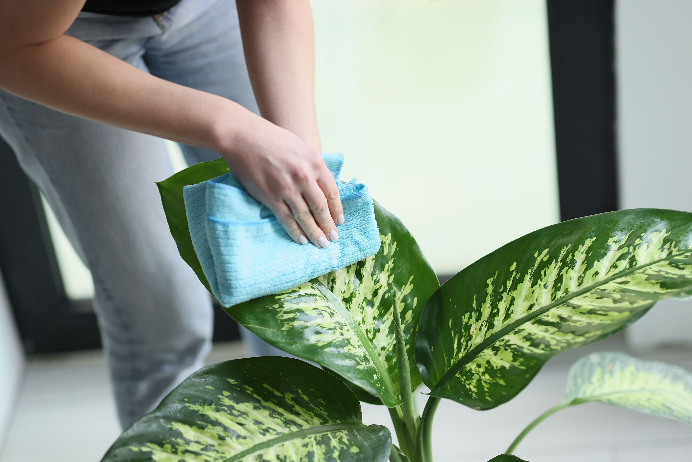 Las plantas sienten cuando las tocas