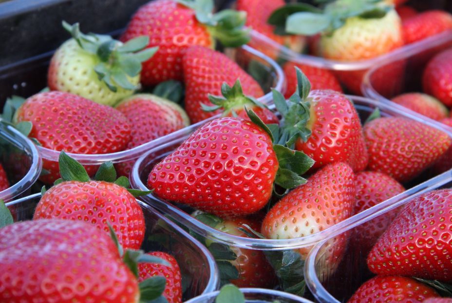 EuropaPress 5193338 tarrinas fresas huelva EuropaPress 5193338 tarrinas fresas huelva