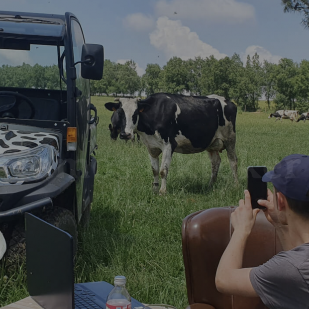 Una granja ofrece 2.000 euros por ser ‘tiktoker’ de vacas Una granja ofrece 2.000 euros por ser ‘tiktoker’ de vacas
