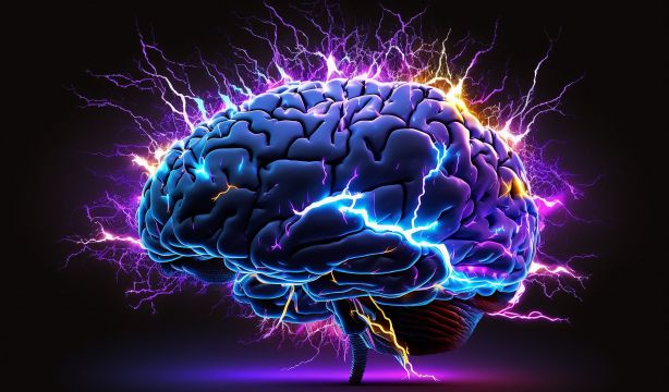 Los cerebros de laboratorio aún no pueden ser considerados personas