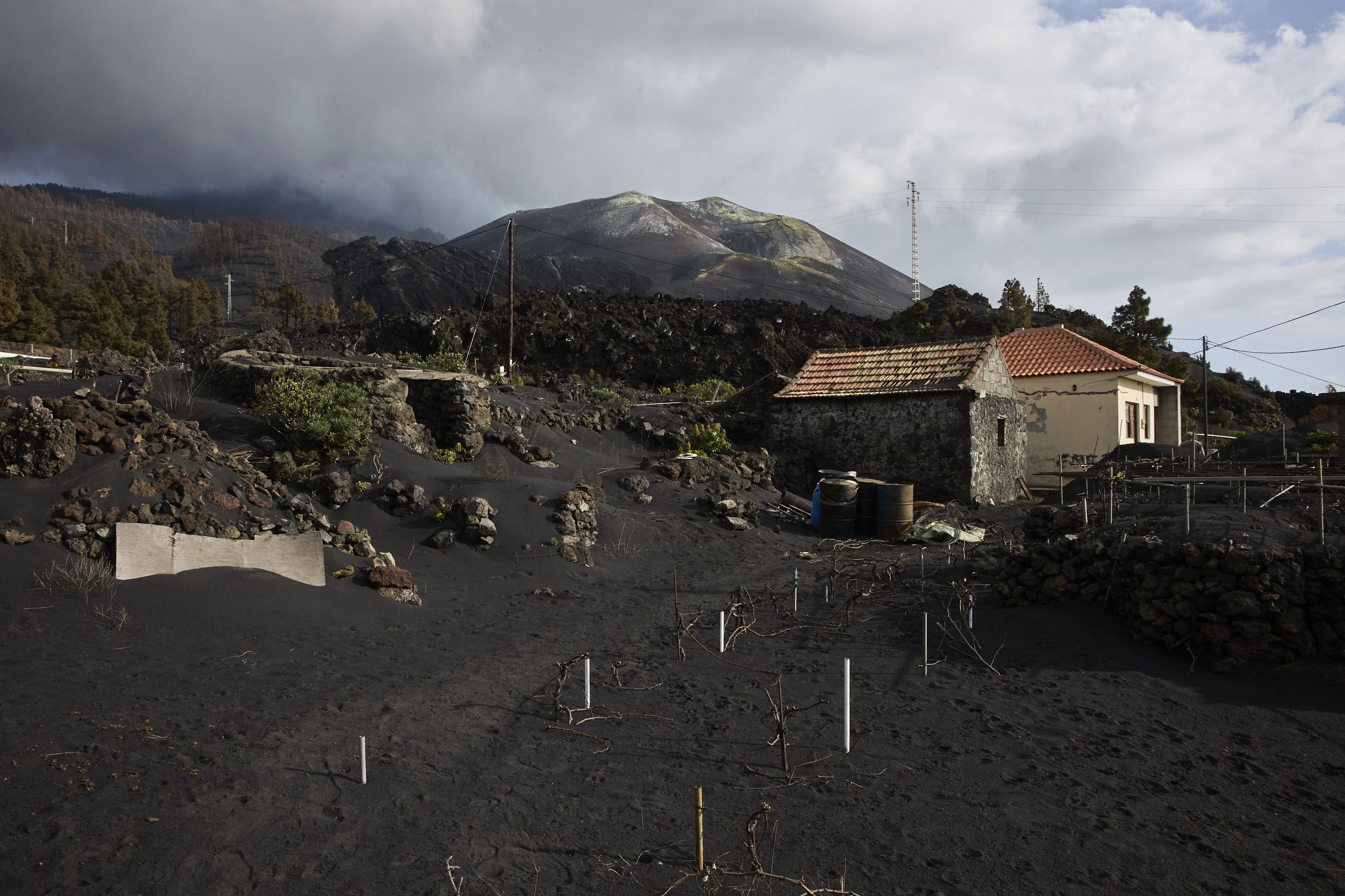 Un estudio confirma que las cenizas del volcán Cumbre Vieja se pueden usar para regenerar playas