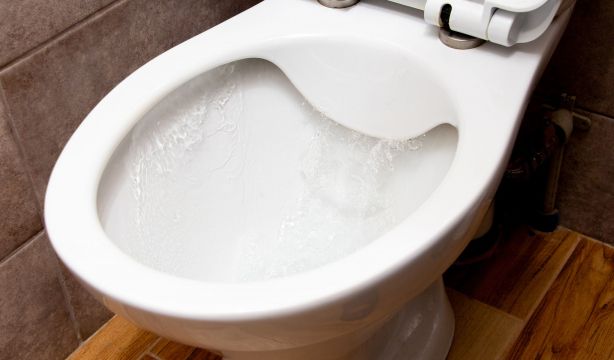 Cuántas veces es normal orinar al día