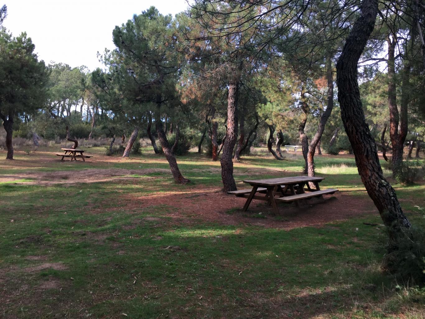 Disfruta de un día con tus nietos en alguno de los merenderos naturales en la Comunidad de Madrid